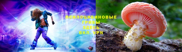 шишки Баксан
