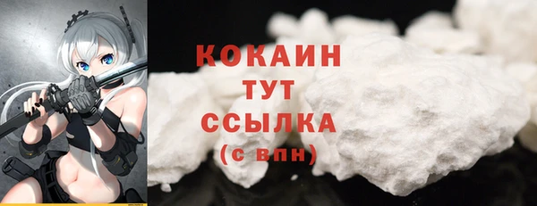 шишки Баксан