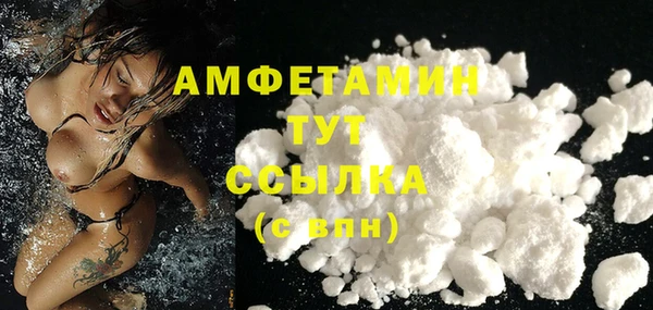шишки Баксан