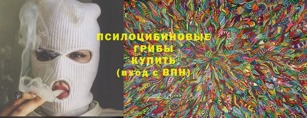шишки Баксан