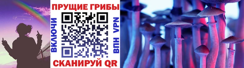 хочу   Иноземцево  Галлюциногенные грибы GOLDEN TEACHER 